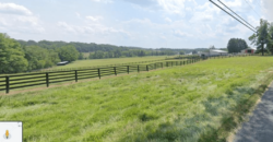22101 Peach Tree, Dickerson, MD 20842